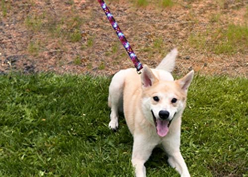 Moose Pet Wear Deluxe Dog Leash - colares de animais pesados ​​estampados, feitos nos EUA - 1 polegada x 4 pés, carpete