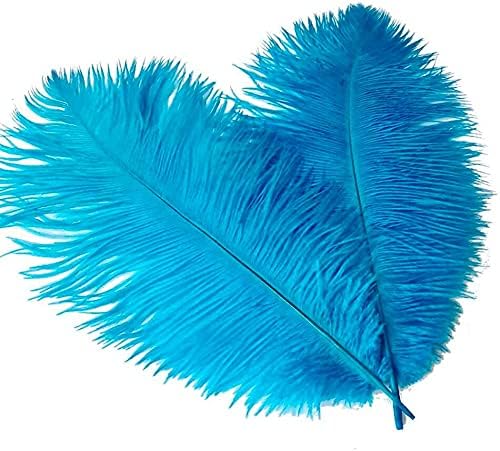 10pcs/lote 15-30cm Feathers naturais de avestruz branca para artesanato Jóias de penas de festa colorida Diy Fazendo