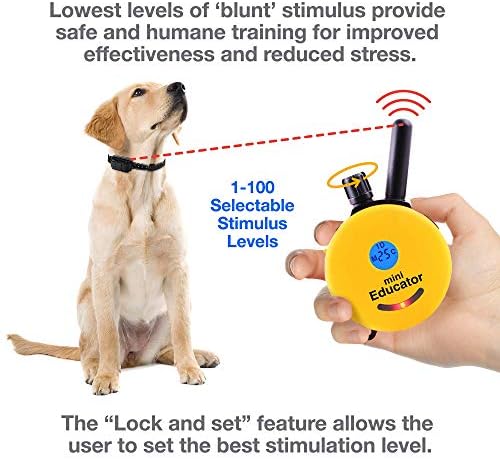 Educador 1/2 milha Sistema de treinamento em cães remotos mais DVD de treinamento em colarinho eletrônico, estimulação