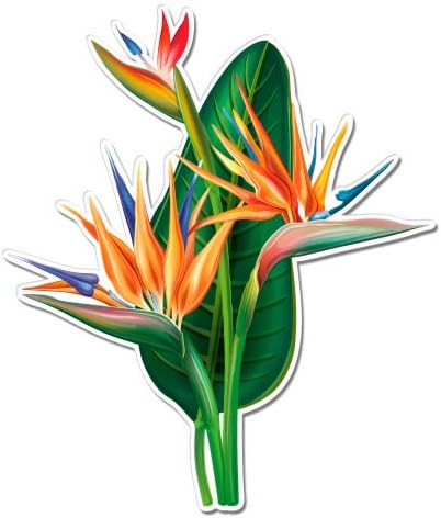 GT Graphics Bird of Paradise Flower - adesivo de vinil Decalque impermeável