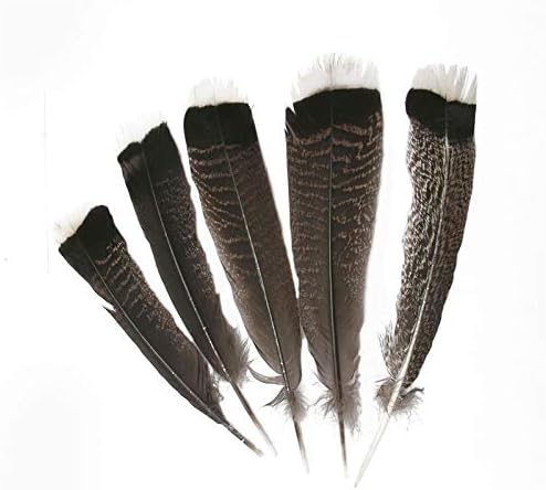 TTNDSTORE FEETHERS NATURAIS DE ÁGÍVEL DE 25-30CM/10-12 polegadas Favorias de peru de peru águia para jóias fazendo jóias