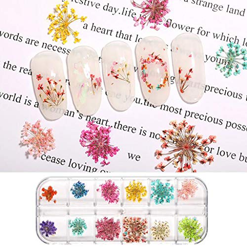 Paisp 12 Decalques de unhas coloridas misturam flores secas adesivas de unhas para decorações de arte de unhas Decalques