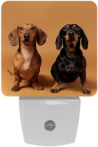 2 Pacote quente Warm LED LED Nightlight fofo Pure-raw Dogs Studio com Dusk-to-Dawn Sensor Compact Nightlight Ideal for