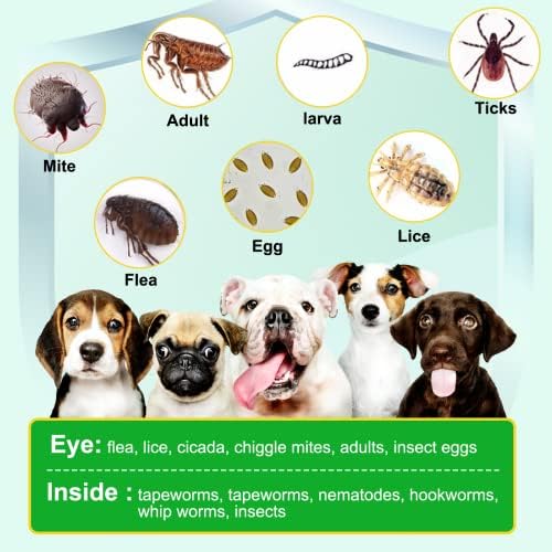 Prevenção de pulgas e carrapatos para cães mastigáveis, 150 mastigam o suplemento de controle de pulgas e carrapatos, pulgas e carrapatos