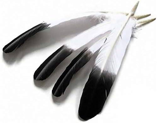 Zamihalla 10-12 polegadas 25-30cm Tingido de peru a asa de penas preto imitação de águia penas para artesanato decoração de