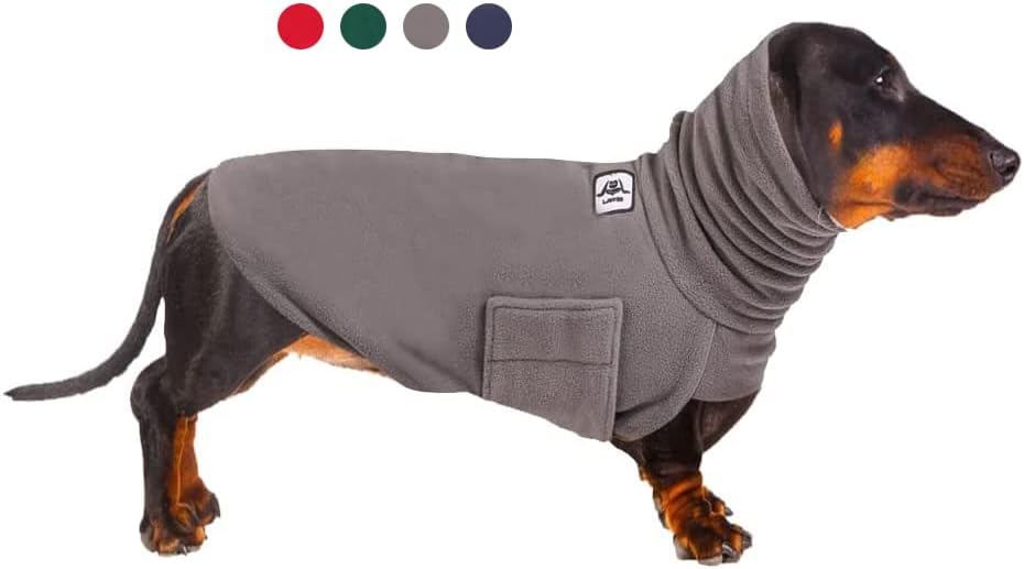 Roupas de Dachshund, trajes de dachshund para cães pequenos médios, casaco de clima frio de dachshund, casacos de dachshund em clima