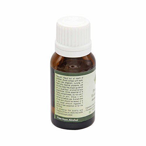 R V essencial de óleo essencial de manjericão 15ml - ocimum basilicum