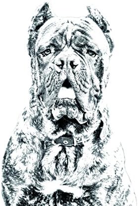Cane Corso, lápide oval de azulejo de cerâmica com uma imagem de um cachorro