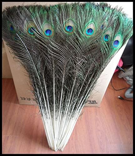 Pumcraft Jóias Diy Feathers naturais de pavão real para jóias de bricolage artesanal 10-80cm 50-200pcsdiy Home hotel decoração da sala