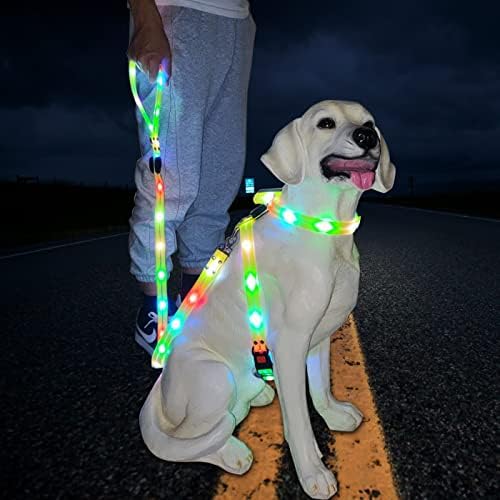 Light Up Dog Leash e LED Dog Harness, Luz de segurança de cães à prova d'água para caminhada noturna