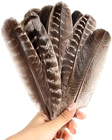 Tharaht 24pcs Natural Wild Wild Wing Wing Feathers Quill Bulk 8-10 polegadas 20-25cm para DIY Crafts Project Coleção Decoração de casamento