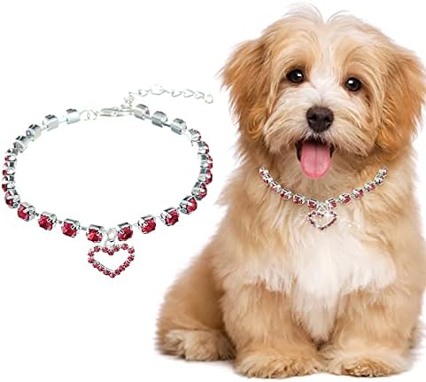 Coleira de cachorro e colar jóias de colar de cão gem