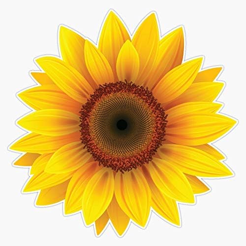 Cool Sunflower Vinil Vinil Pertenço à prova d'água Decal