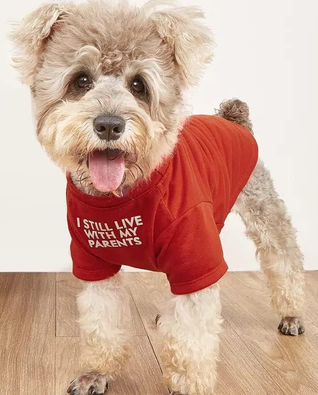 Roupas de cachorro fofas, camiseta para cachorro para cães médios.