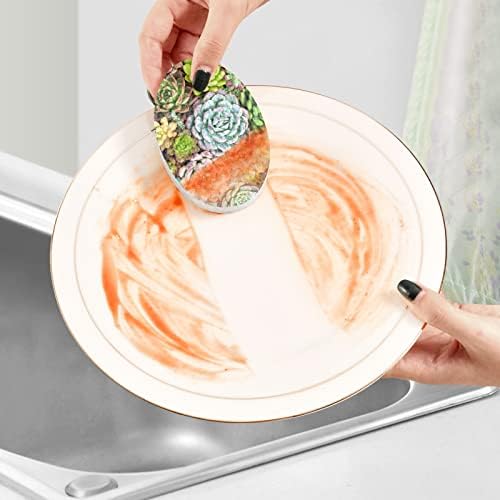 Alaza cacto suculento cacti esponjas naturais esponja de celulares de cozinha para pratos lavando banheiro e limpeza doméstica,