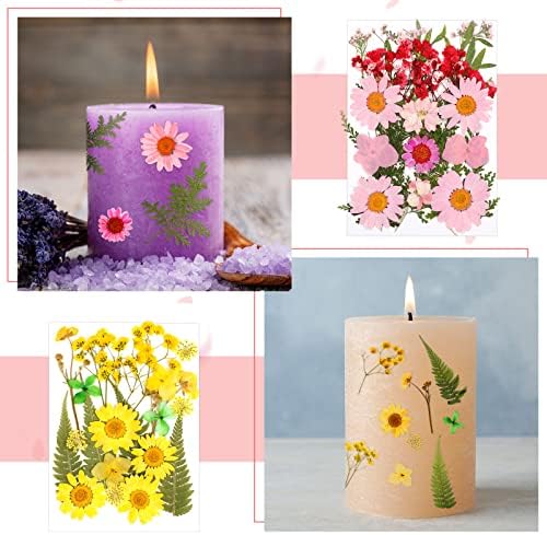 100 peças seco Flores prensadas para resina Flores da natureza reais com folhas Flores secas para artesanato Diy Art Candle