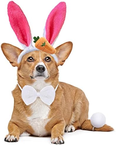 Ears de coelhinho de cachorro e gravata borboleta de Páscoa, roupa de Páscoa de estimação