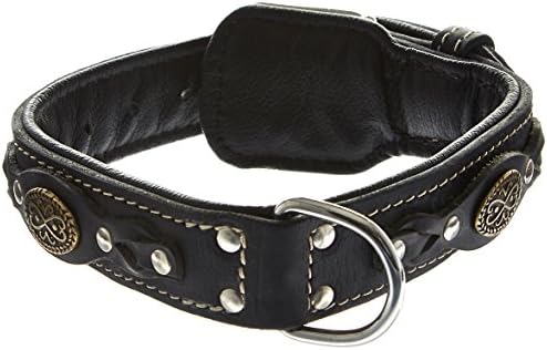 Dean e Tyler Dean's Legend Dog Collar com preto e hardware de aço banhado a cromo, 18 por 1-1/2 polegadas, preto