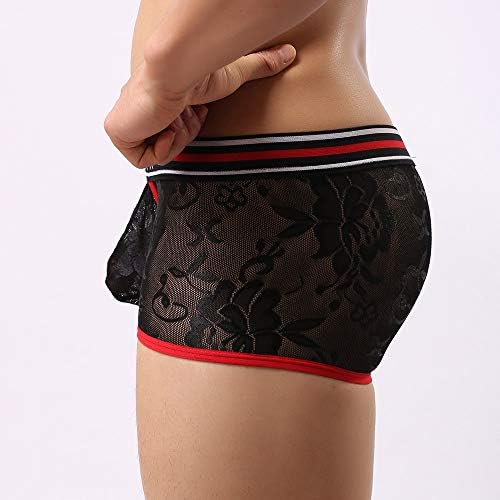 Sheoo Sexy Underwear para homens Naughty for Sex/Play Veja através de U Bulge Bolsa Lace Erótico Lingerie Briefs