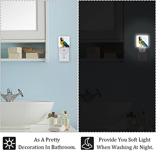 Padrão de papagaio LED Night Light, Kids Nightlights for Bedroom Plug in Wall Night Lamp Brilho ajustável para escadas