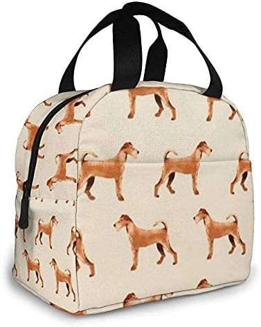 Lancheira para lancheira Irlanda Terrier Dog Box Bag Tote Bag para homens/mulheres Trabalhando viagens