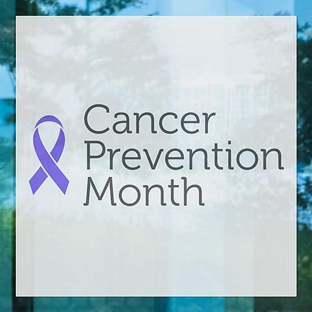 CGSignLab | Janela Mês de prevenção do câncer -Ribbon -Ribbon ABAIXO DE JANEIRA | 8 x8