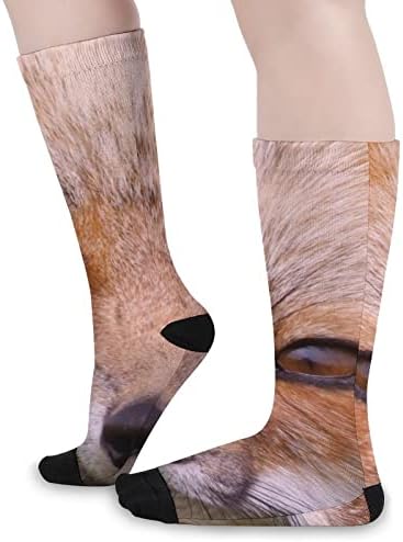 Ilhas Juan Red Fox San Color Comparando meias altas esportes de moda meias quentes para homens