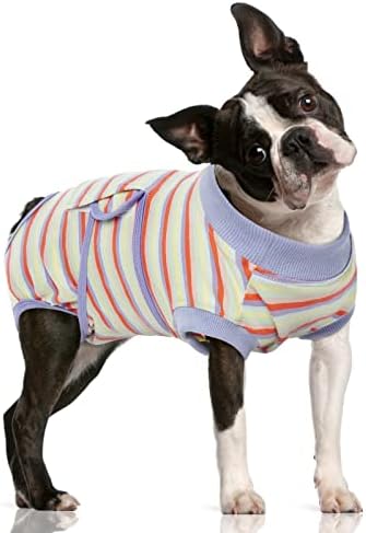 Fuamey Recovery Suit de gatos de cães após cirurgia, coluit-e-colar de roupa de estimação respirável e macio e colar e cone