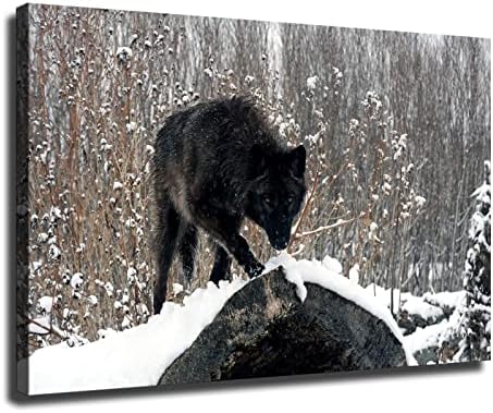 O feroz lobo preto na neve está olhando para você pôster e parede de arte impressão de impressão de casa moderna decoração de quarto
