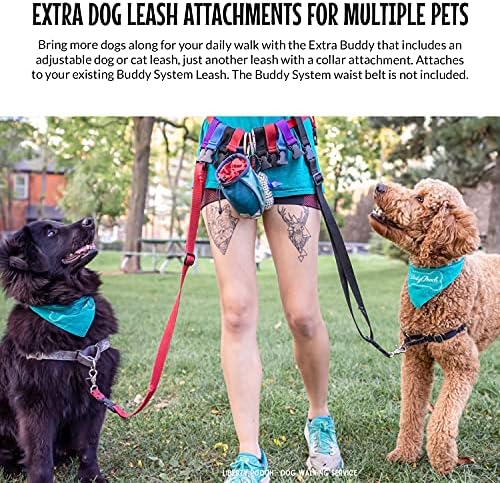 O sistema de amigos faz com que a trela de cachorro grátis seja amiga extra e coleira reflexiva com bolsa para correr, correr, caminhar,