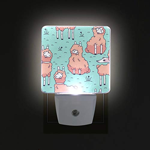 Conjunto de alpaca de luz noturna de 2 sensor automático Led Dusk to Dawn Night Light Plug in Indoor for Adults 2012221