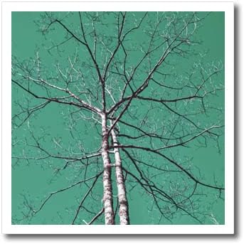Fotografia por infravermelho 3drose de uma árvore com muitos galhos e. - Ferro em transferências de calor