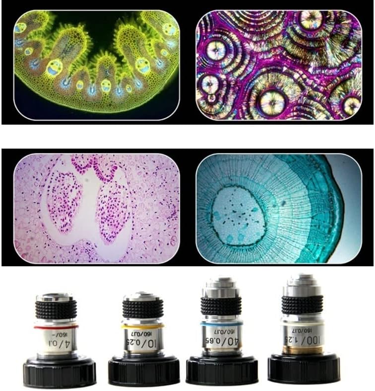 Acessórios para microscópio 4x 10x 40x 100x Microscópio Lente Objetiva Microscópio Achromático Consumíveis