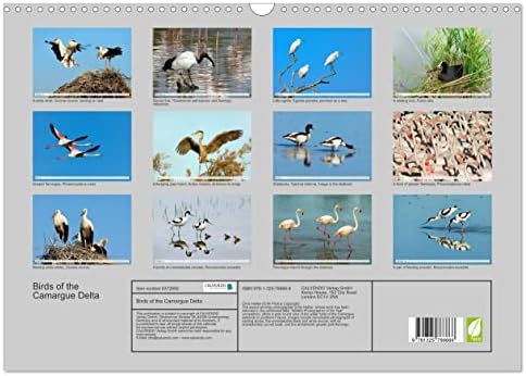 Birds of the Camargue Delta, calendário mensal de Calvendo