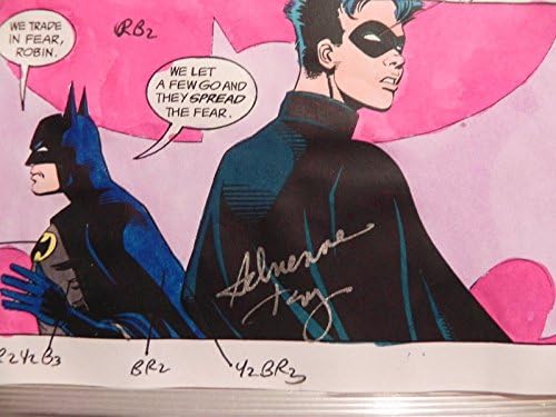 Batman Shadow Box Part 1 Guia de cores assinada por Adrienne Roy com C.O.A PG 4