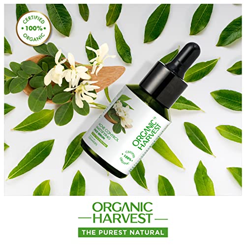 Controle de acne de colheita orgânica soro face matificante: chá verde e moringa | Para pele oleosa e mista, lutas Pimples &
