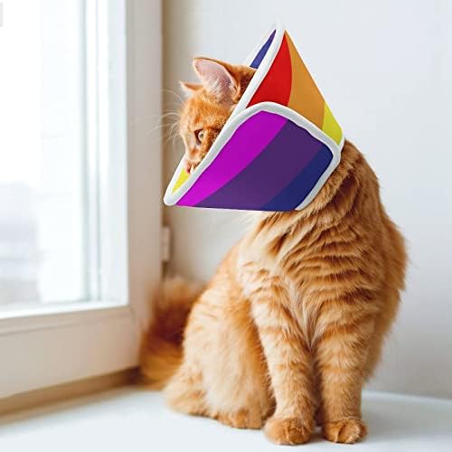 Rainbow Gay Pride LGBT Dog Cone Collar
