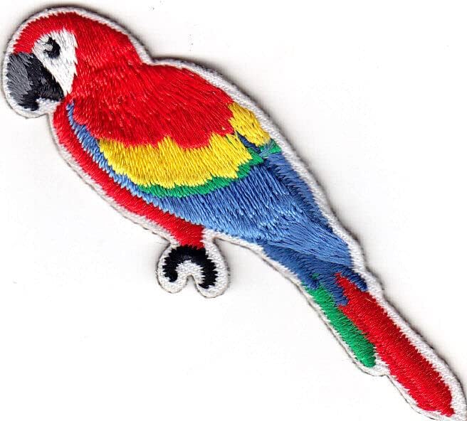 Papagar Ferro em aves tropicais de patch