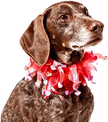 Cole de cachorro decorativo do coração de Midlee Valentine