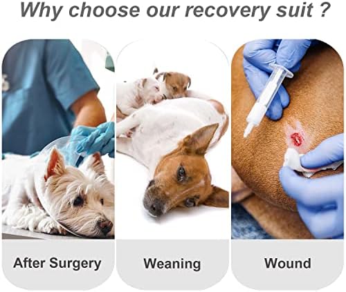 Devido a Felice Dog Surgical Recovery Terne Puppy Onesie Após a cirurgia Use Alternativa de colarinho eletrônico de animais