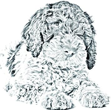 Romagna Water Dog, lápide oval de azulejo de cerâmica com uma imagem de um cachorro