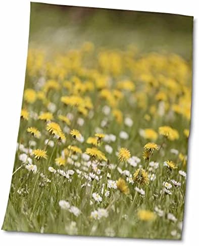 Flores fotográficas de 3drose uta naumann - prado de flor com flores amarelas - toalhas
