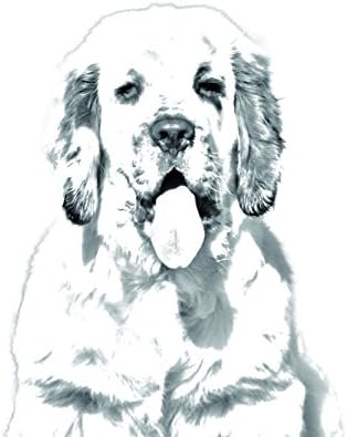 Clumber spaniel, lápide oval de azulejo de cerâmica com uma imagem de um cachorro