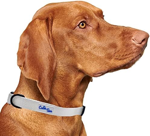 Cutie amarra colarinho de cachorro branco - material de nylon durável - colares de qualidade premium para cães - colares