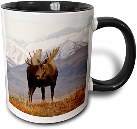 3drose Mug_87701_1 Vida selvagem de Moose Bull, Parque Nacional Denali, Alaska US02 Ska3065 Steve Kazlowski Caneca de cerâmica,