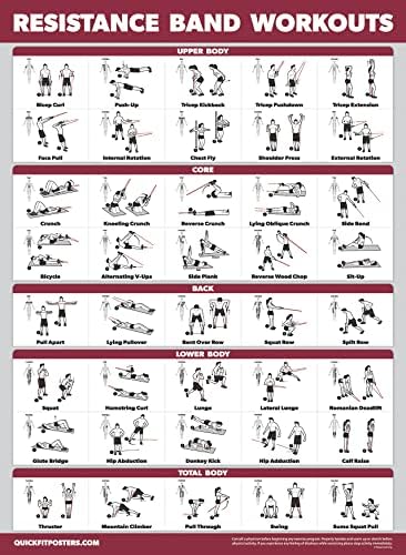 Palace Learning 4 Pack - Bandas de resistência Pôsters de exercícios Volume 1, 2 e 3 + Gráfico de exercícios de alongamento