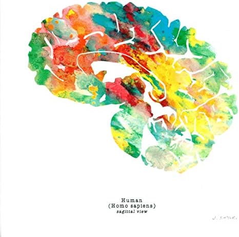 Neurociência Arte da parede médica - Conjunto de 3 - 8,5 x 8,5 Impressões de arte em aquarela - Neurologia e psicologia Decoração de