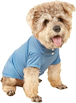 Camisa Polo de Dog Qwinee com um colar de gato de dois botões de cachorro de cachorro