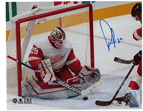 Thomas Greiss Detroit Red Wings 8 x 10 foto - 70021 - fotos autografadas da NHL