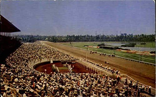 Pista de corrida de Hollywood Park Inglewood, Califórnia CA Original Vintage Post cartão